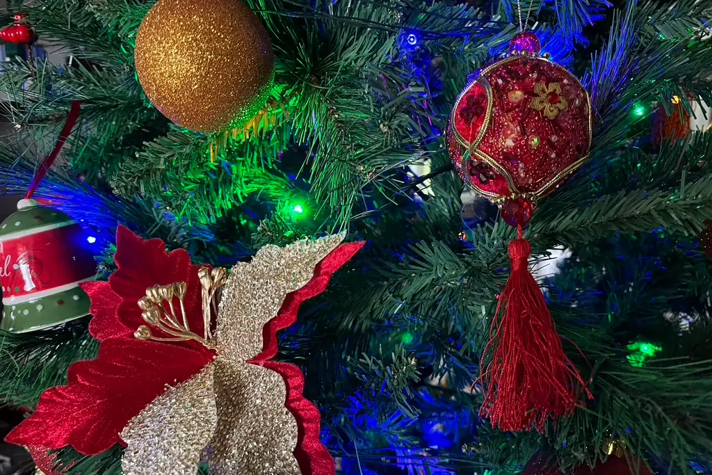 Immagine simbolo del Natale (Foto Sara Pinna)