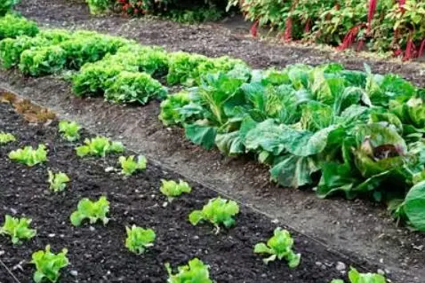 (foto Comune Sant'Antonio di Gallura)