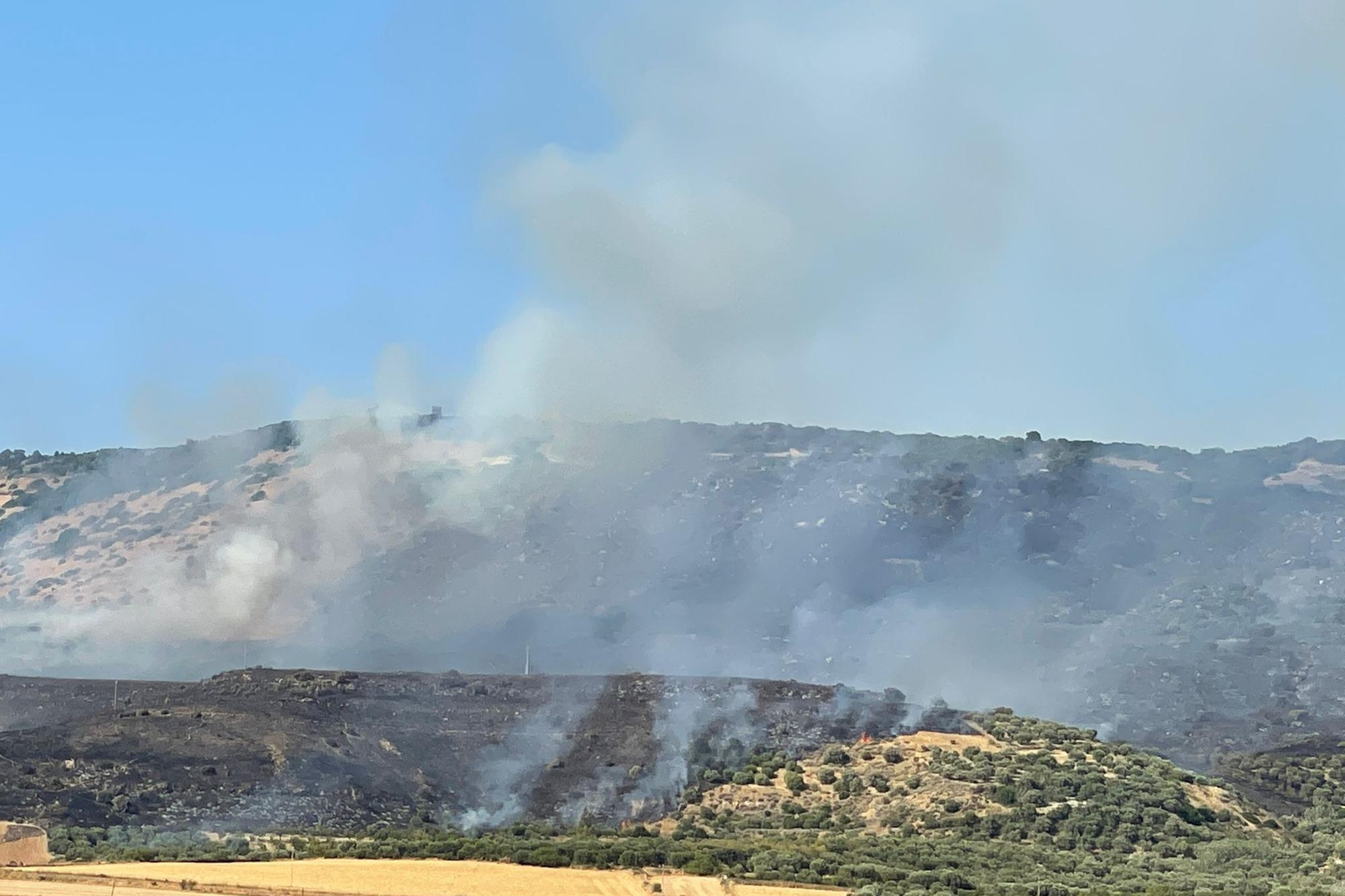Le fiamme non danno tregua: si lotta contro il fuoco a Berchidda e Setzu, elicotteri in azione