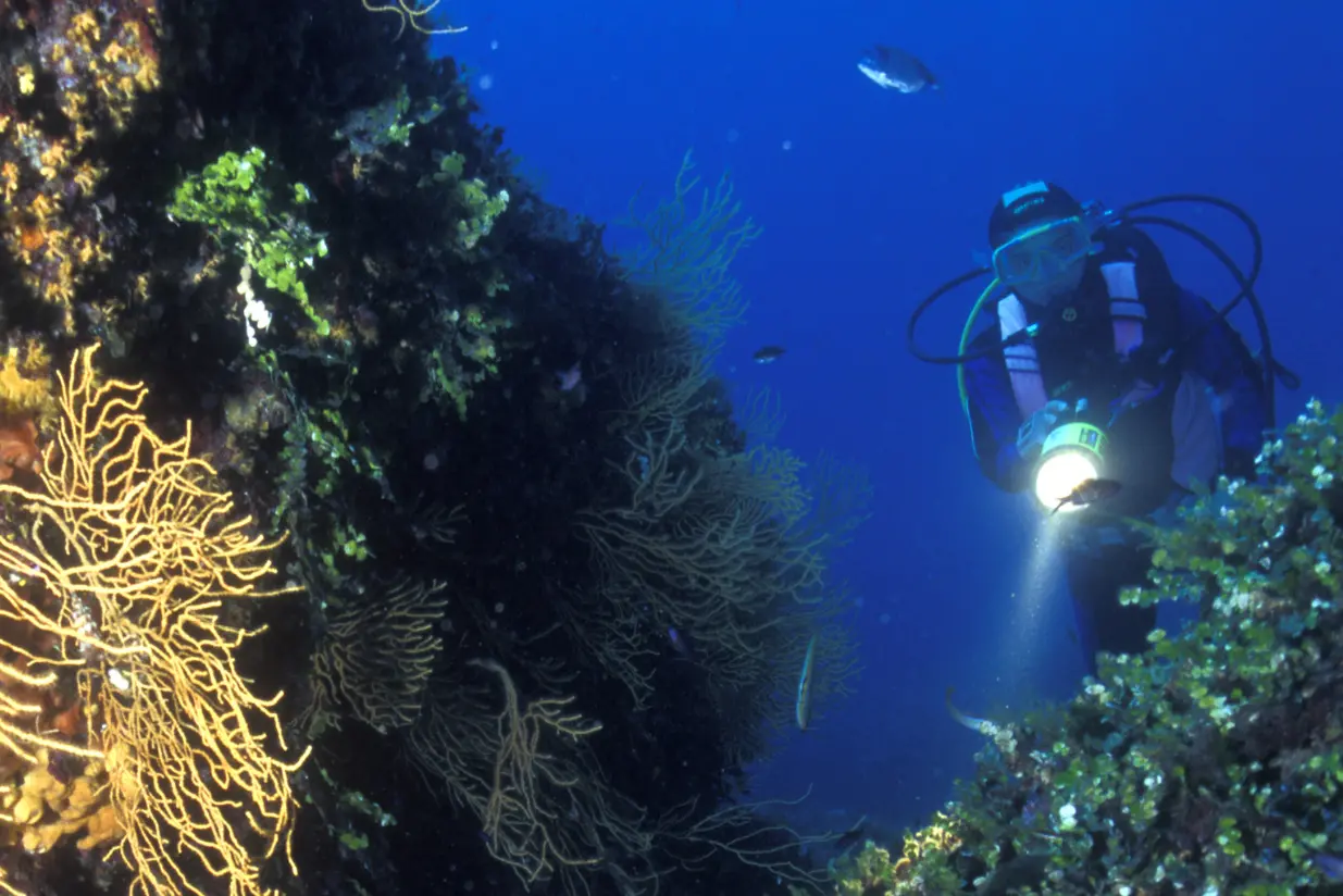 I fondali marini di Tavolara (Foto concessa)