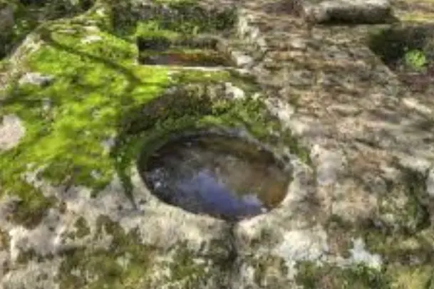 Sito Unesco a Thiesi (foto concessa)