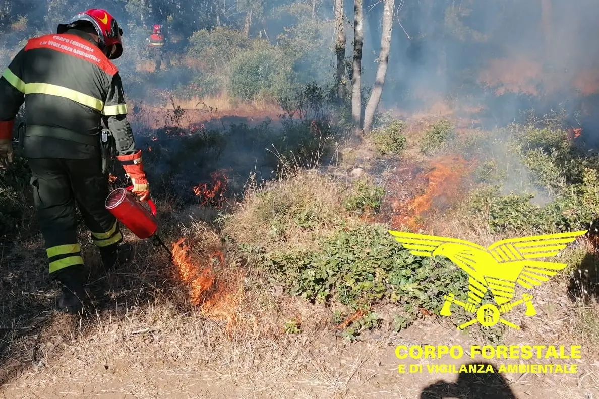 Operazioni di spegnimento (foto Corpo forestale)