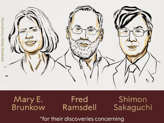 Il Nobel per la Medicina a Brunkow, Ramsdell e Sakaguchi per gli studi su sistema immunitario e infezioni
