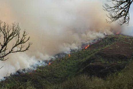 Fine settimana di fuoco nel Sulcis: incendi a Narcao e Iglesias