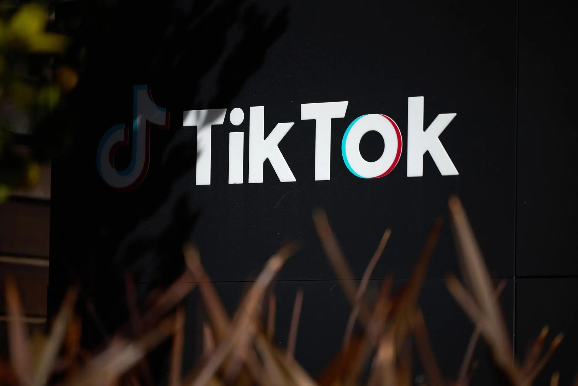 TikTok (foto Ansa/Epa)