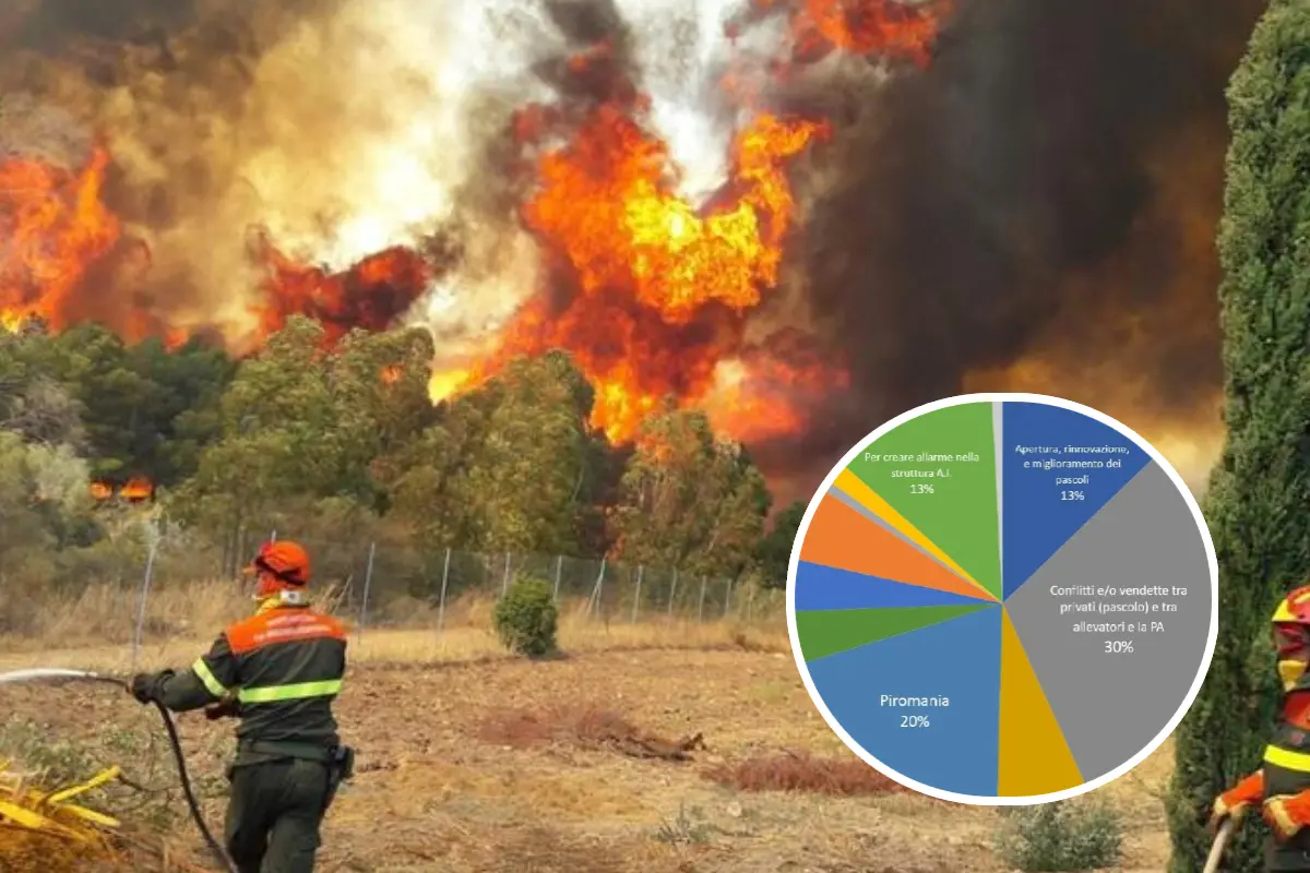 Un intervento di spegnimento di un incendio in Sardegna