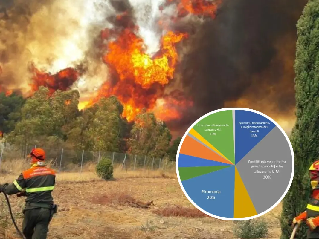 Un intervento di spegnimento di un incendio in Sardegna