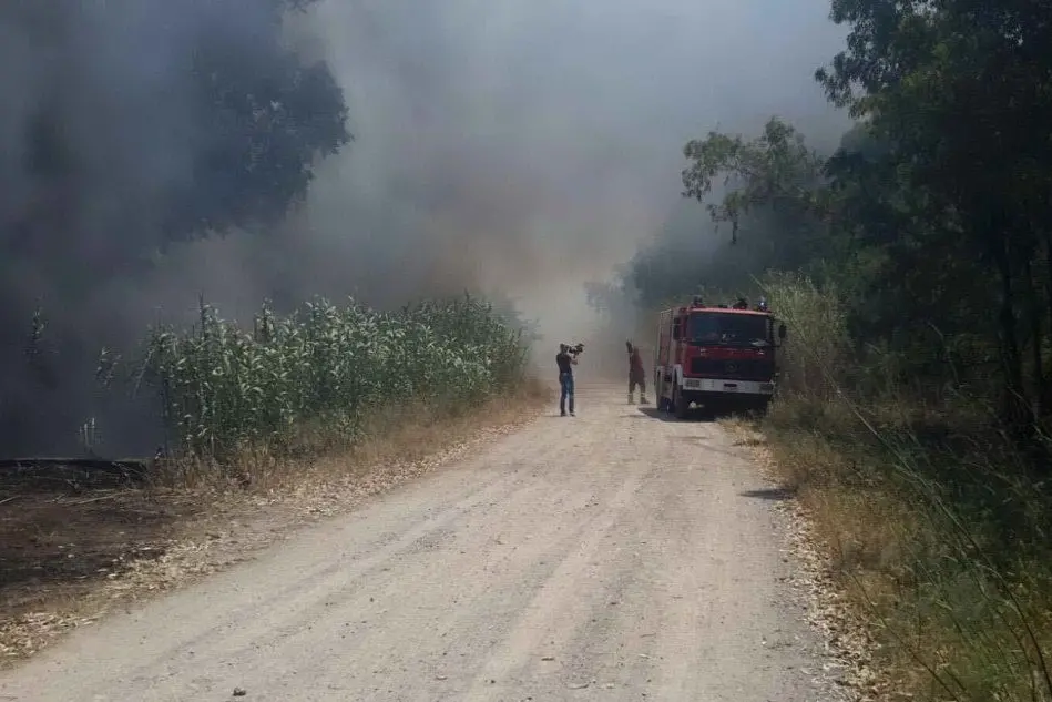 L'incendio nell'agro di Terralba