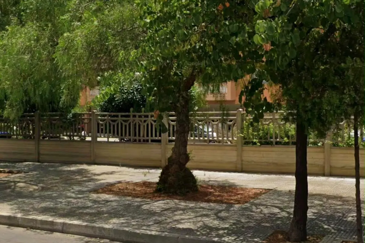 Quartucciu, l’albero rimosso in via Vivaldi