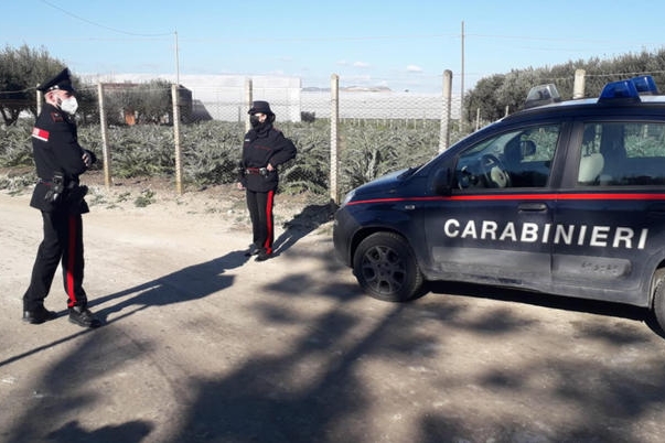 Sul caso indagano i carabinieri (Ansa)