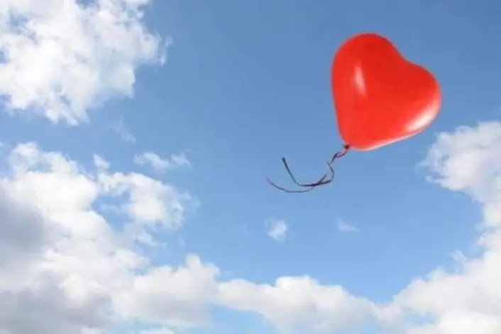 L'immagine dedicata al lutto per Elena (foto concessa)