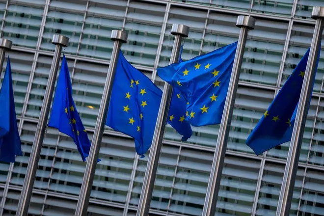 Bandiere dell'Ue (Ansa)