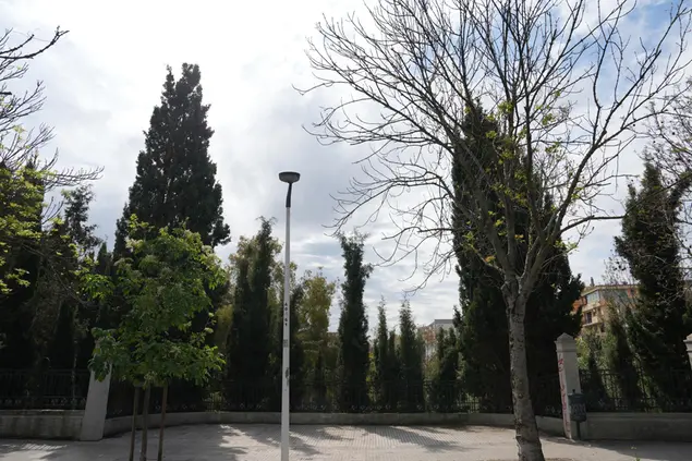 Sassari, viale Trieste (foto Floris)