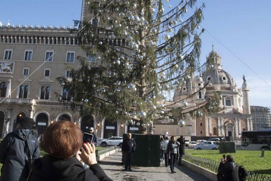Roma, l'albero &quot;Spelacchio&quot; nel mirino dell'Anticorruzione