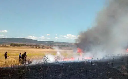 L'incendio nelle campagne fra Tuili e Las Plassas (foto Pintori)