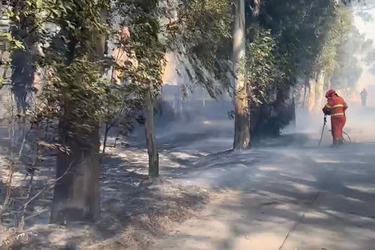 Brucia il Cagliaritano: incendi a Capoterra, Villaspeciosa e Assemini