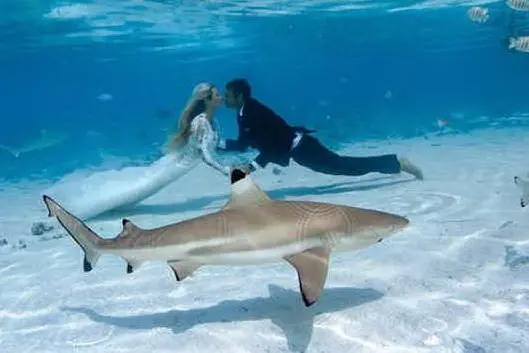 Il bacio tra Ocean Ramsey e Juan Oliphant (foto Instagram)