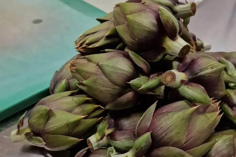 Carciofi (foto concessa)