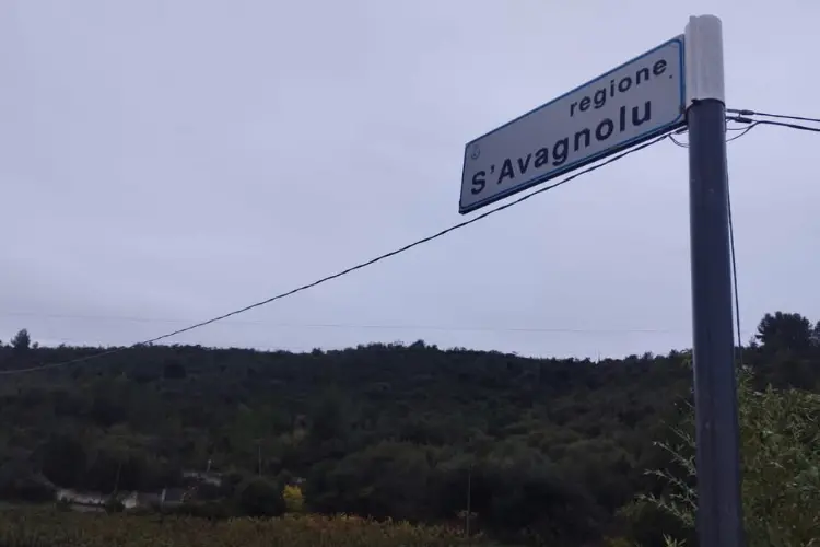 Il rio S'Avagnolu Usini- Tissi (foto concessa)