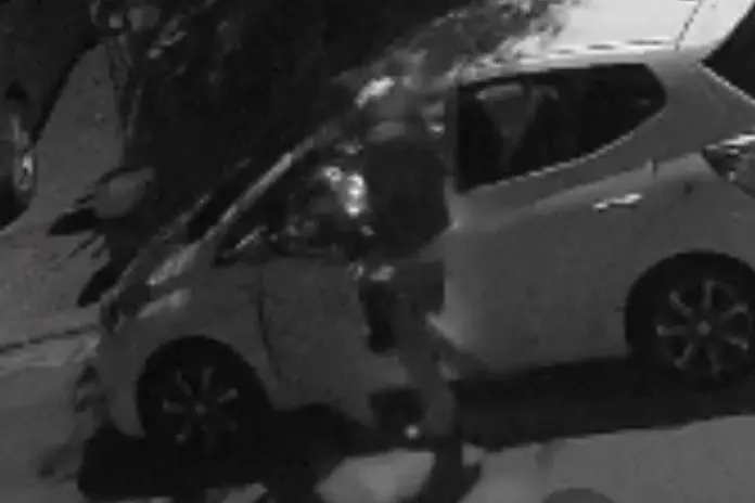 Un ladro in azione a San Sperate in un'immagine pubblicata da un cittadino