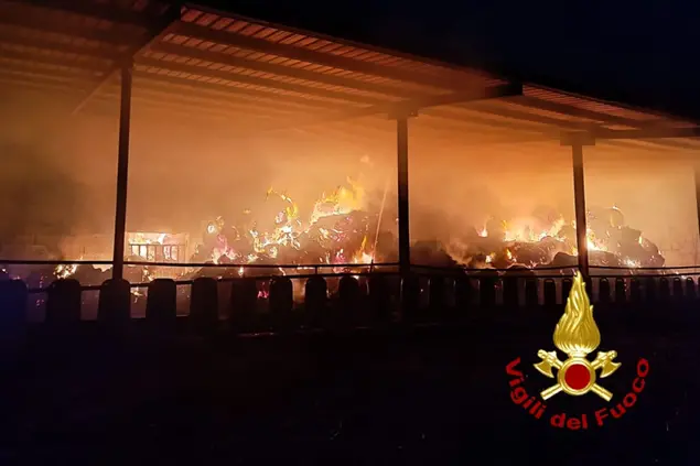 L'incendio (foto Vigili del fuoco)
