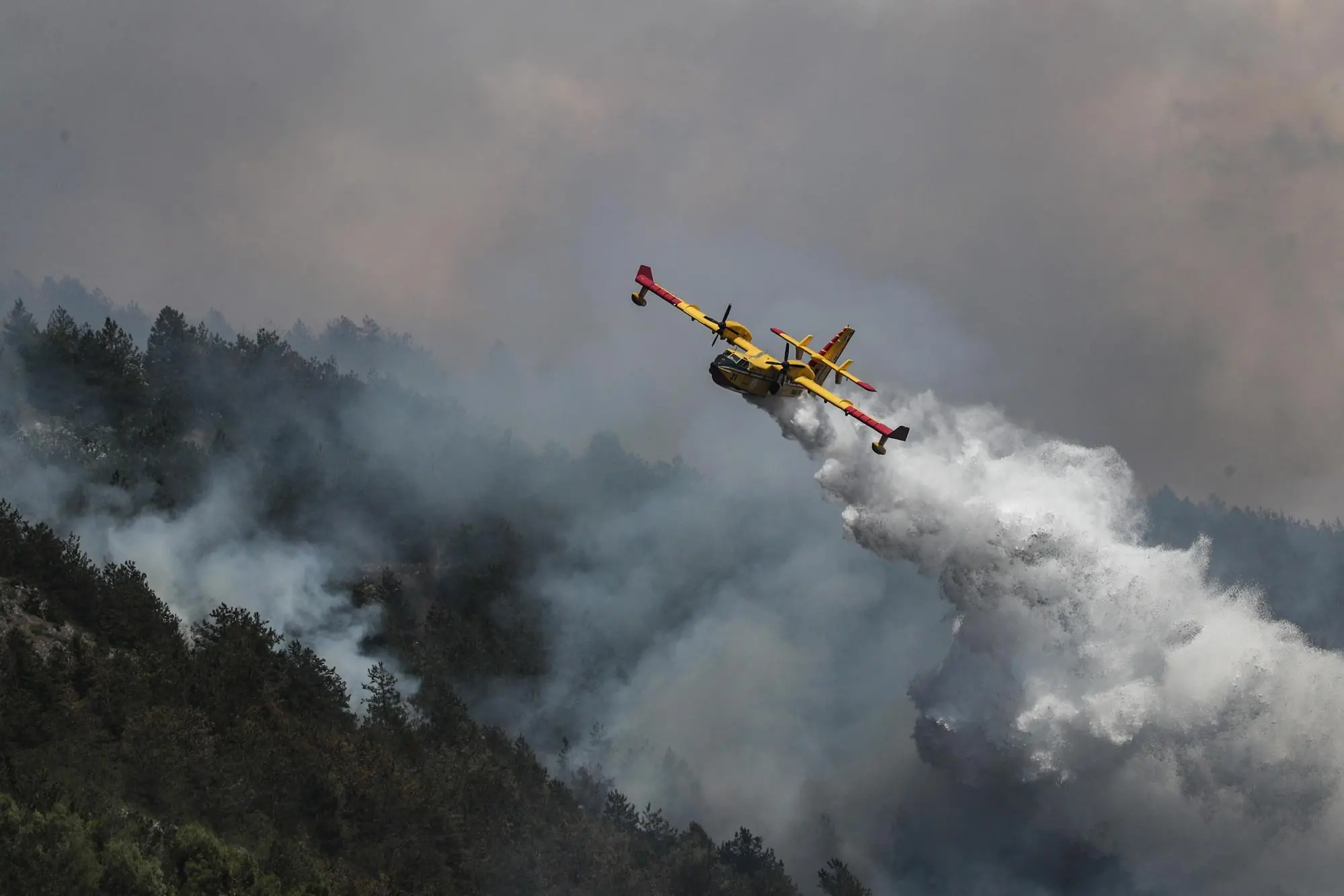 Incendi in Sardegna