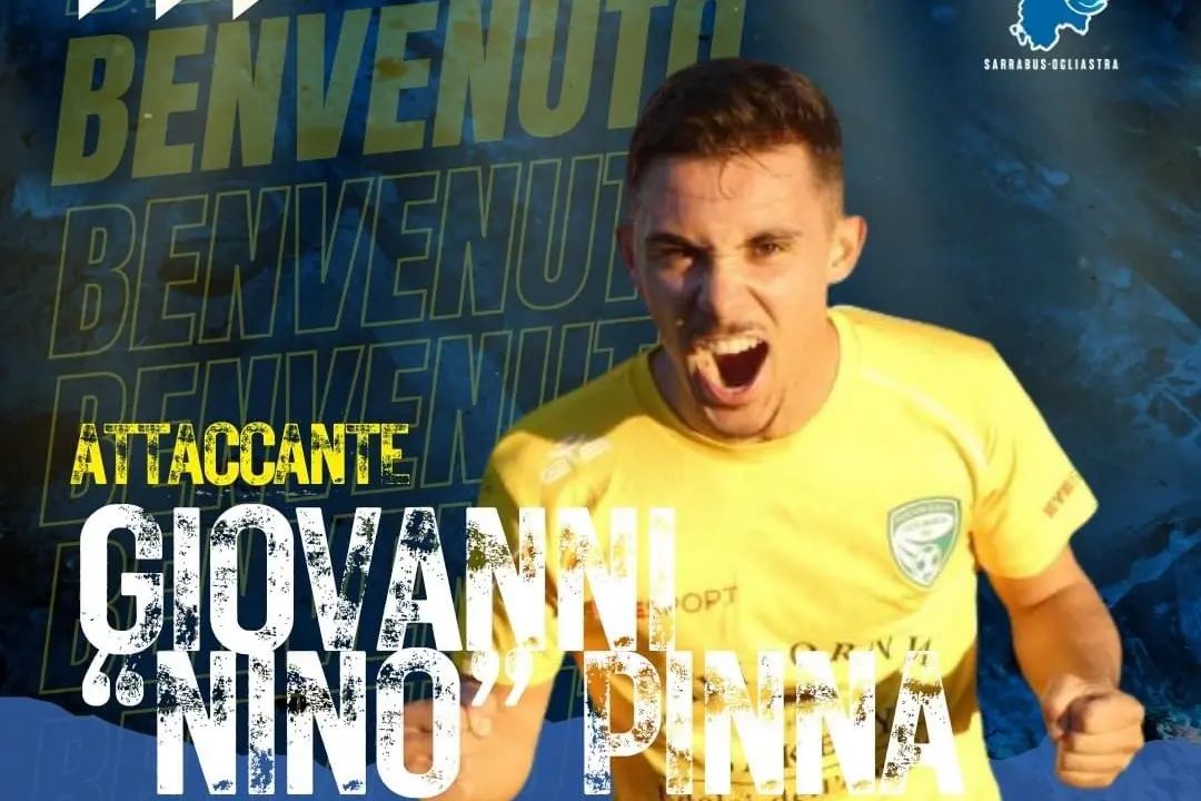 Pinna (foto concessa)