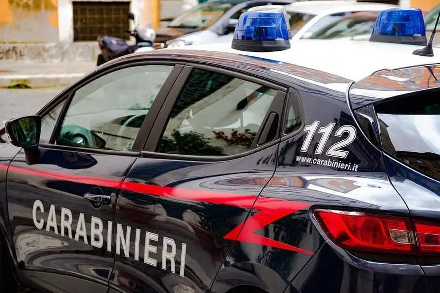 Sul caso indagano i carabinieri (foto Pixabay)