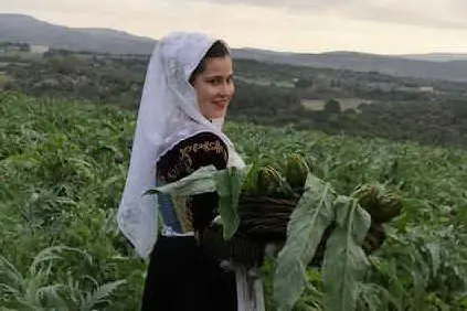 Una carciofaia a Uri (Foto C.Fiori)