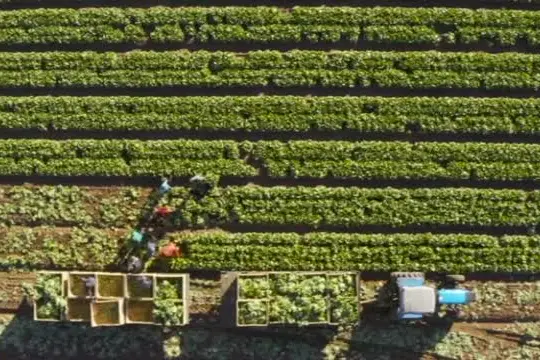 Agricoltura e crisi geopolitiche: uno scenario ridisegnato