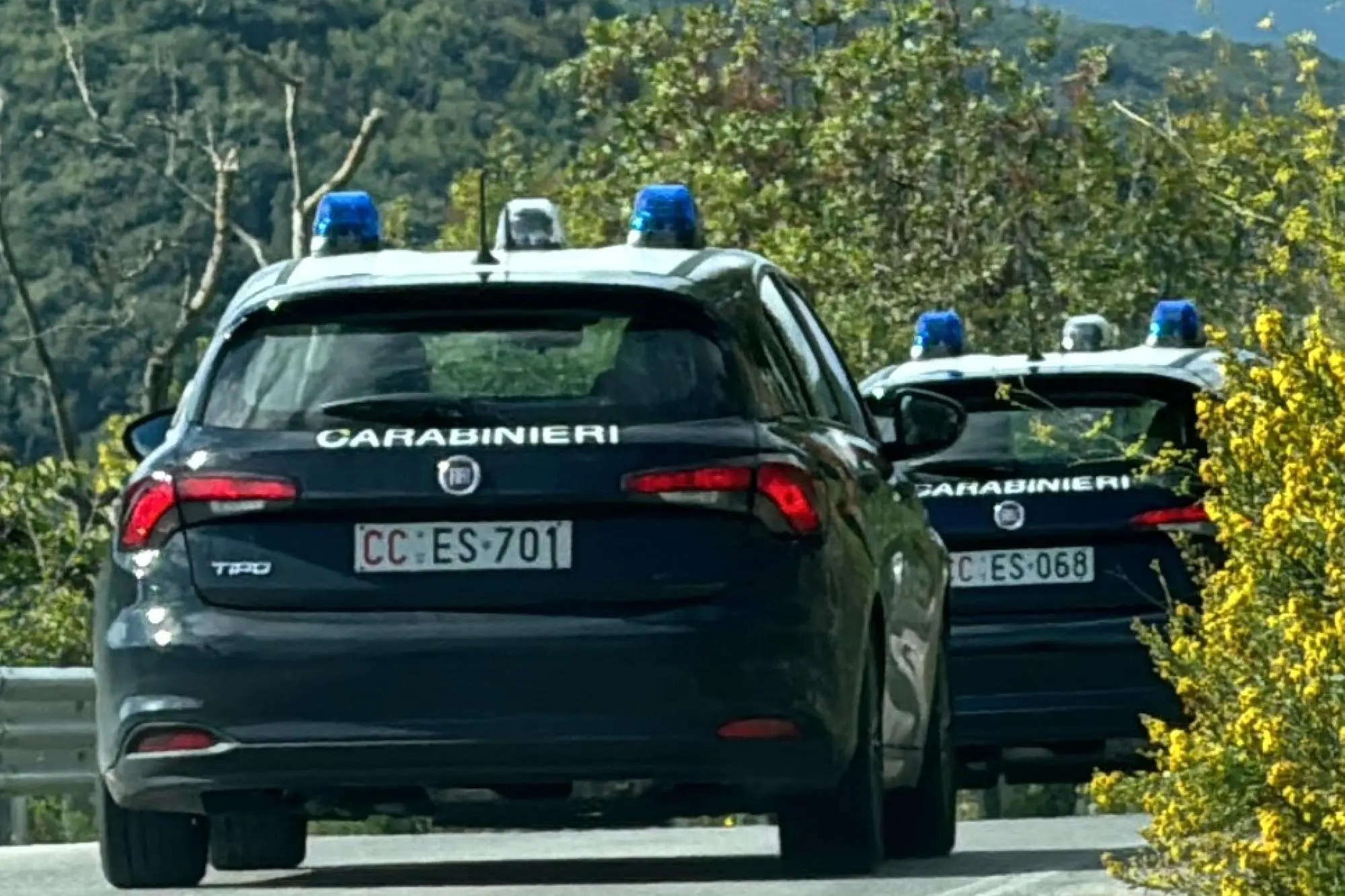 Carabinieri (foto Ansa)
