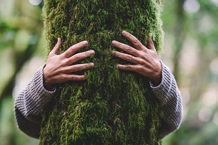 Un'immagine di "Ascoltando gli alberi"