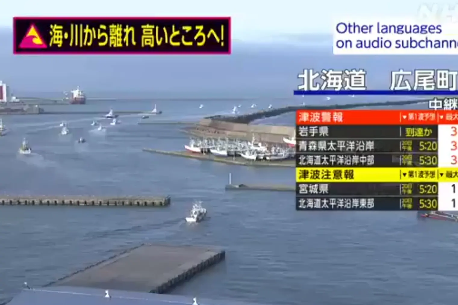 Allerta Tsunami in Giappone