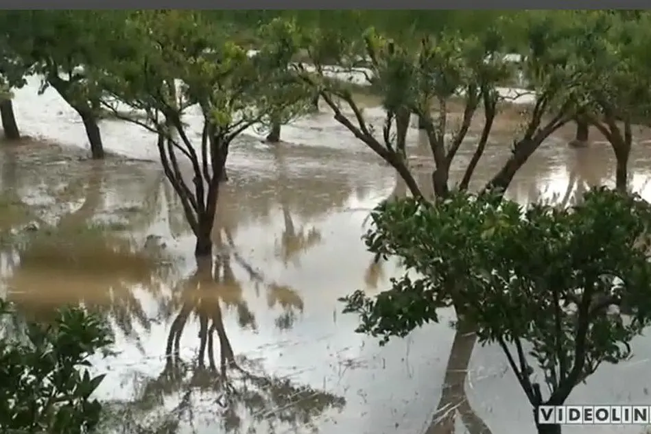 I campi allagati a Sorso