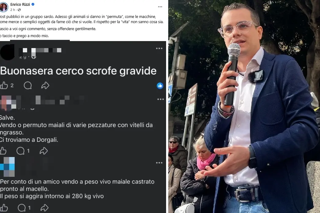 Il post di Enrico Rizzi
