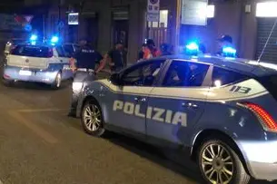 Immagine simbolo (Ansa)