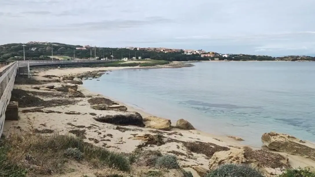 https://immagini.unionesarda.it/version/c:MzBiYmY1MjMtMmVkZC00:NzQ5NjdmNjMtY2Y3Zi00/image.webp?f=16:9