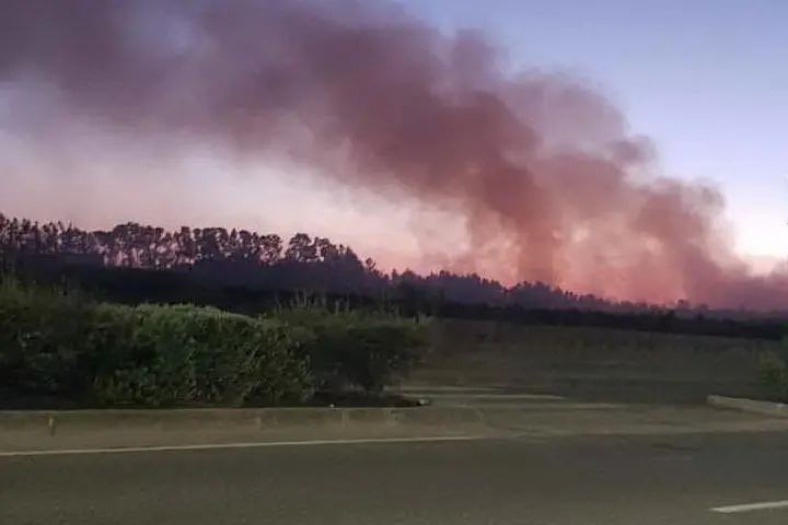 Uno degli incendi nella zona di Pesaria (foto L'Unione Sarda - Sanna)