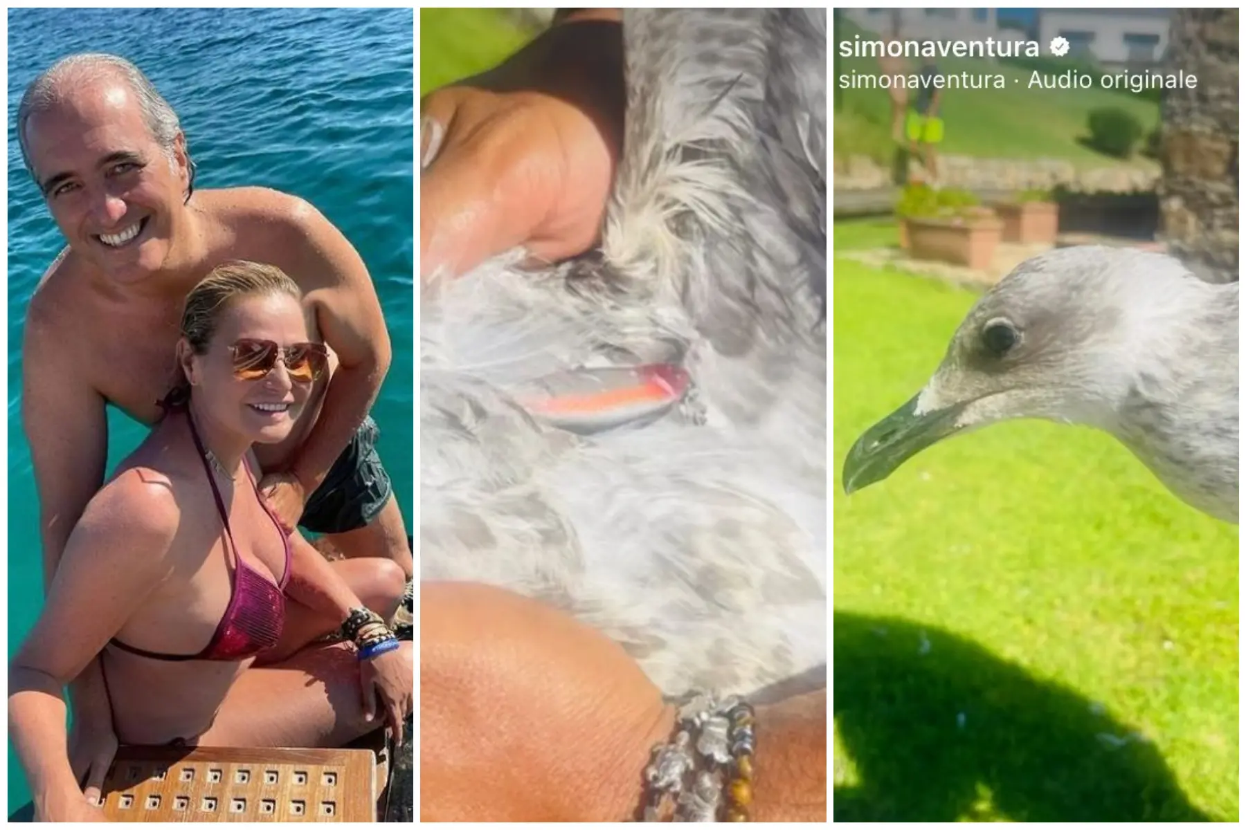 Simona Ventura with her partner Giovanni Terzi and the injured seagull (from Instagram)