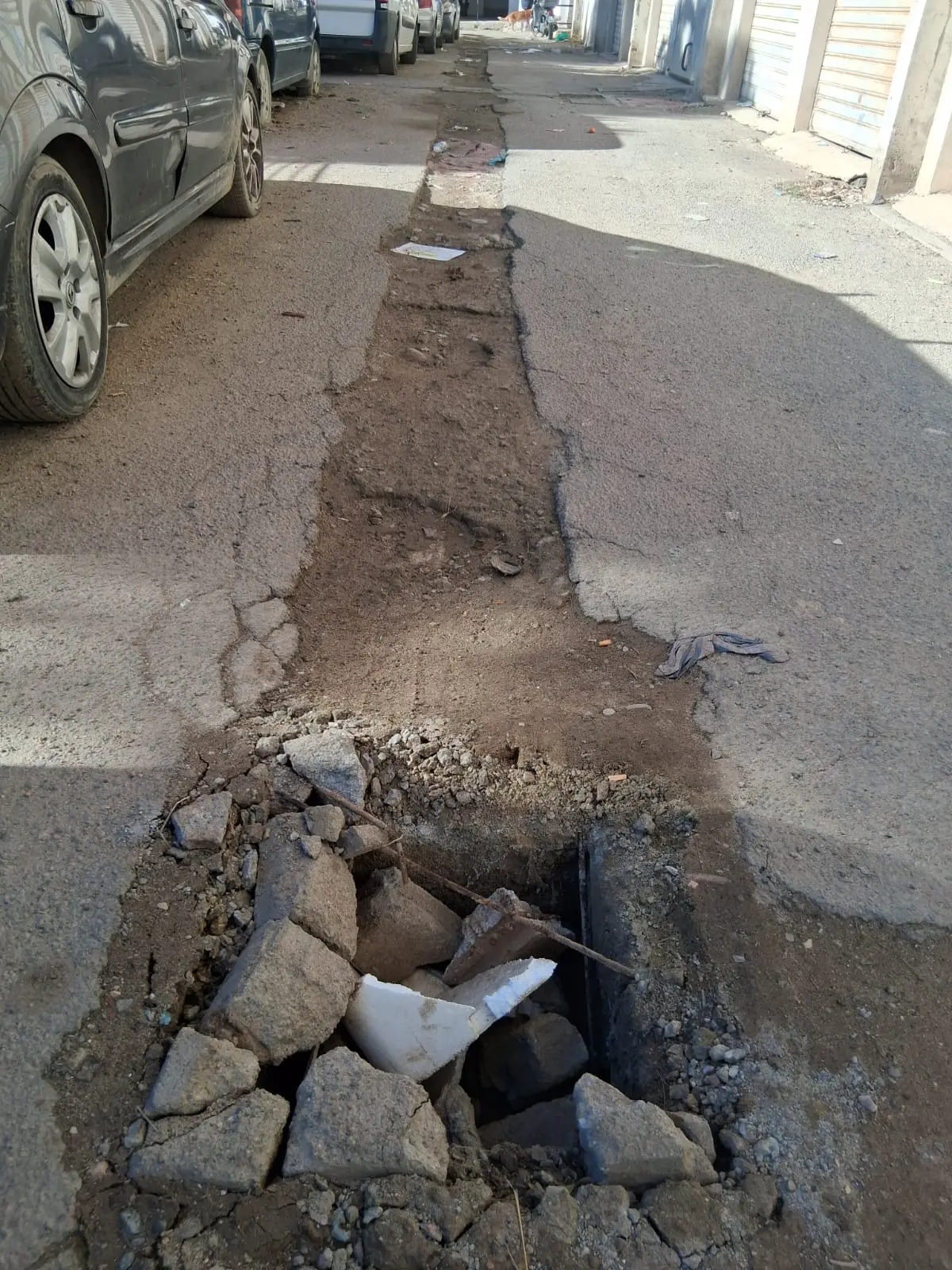 contentid/5ea8b386-77a8-42cf-9b6f-770deccc6839