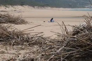 Canne e detriti alla foce del rio Mannu