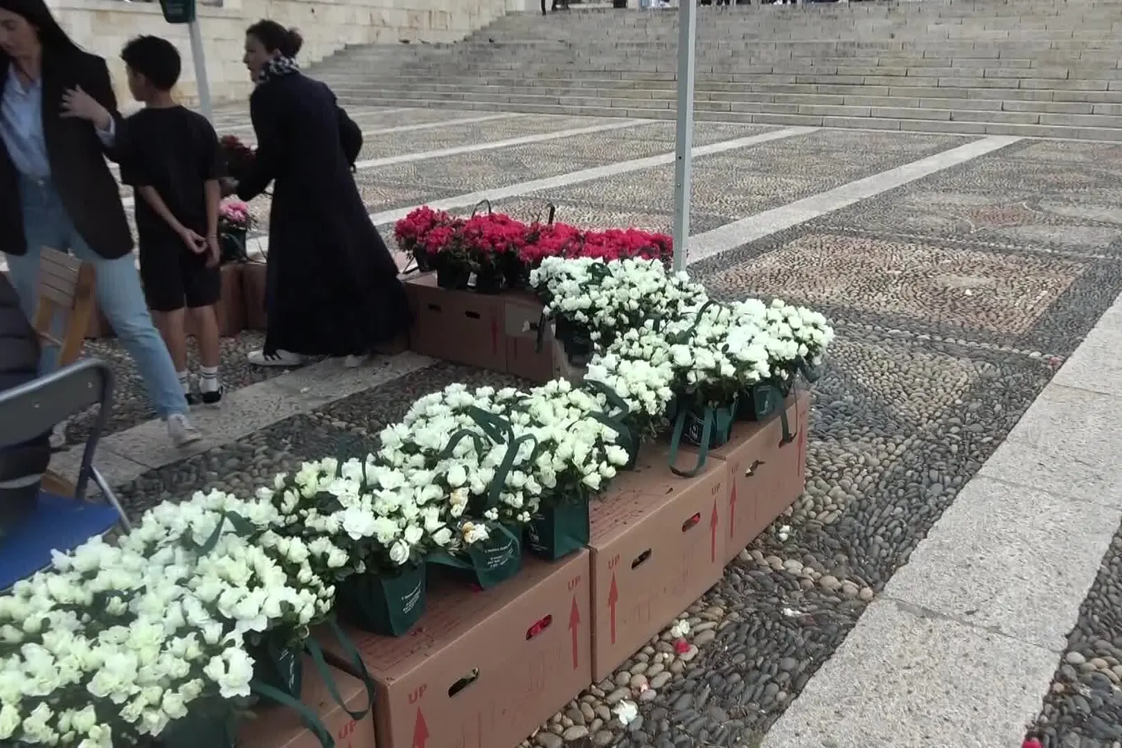 Pietro Biggio (AIRC Sardegna): «Azalee in 200 comuni sardi per la festa della mamma»