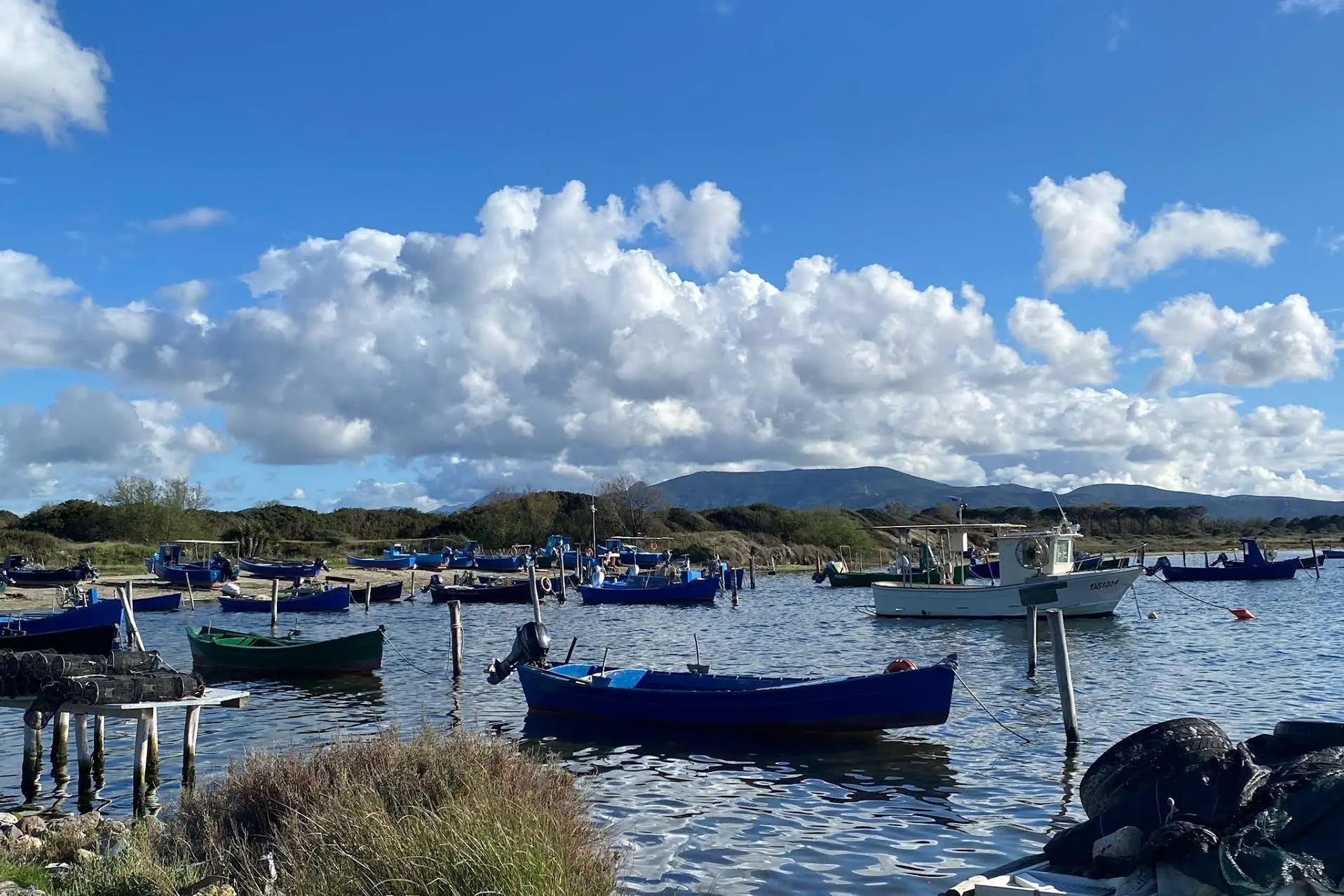 Una zona umida (foto concessa)