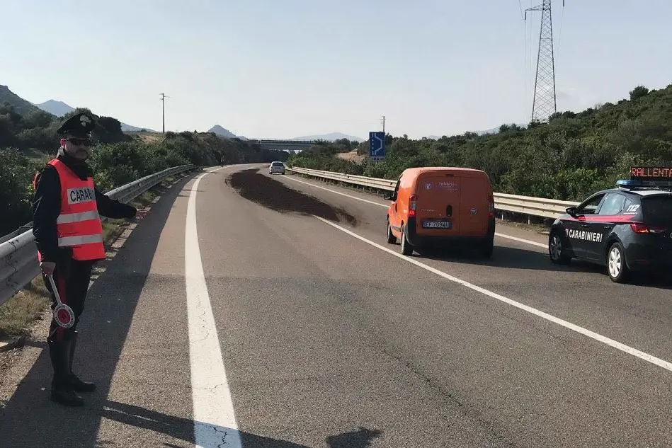 Il letame in strada (foto L'Unione Sarda - Agus)