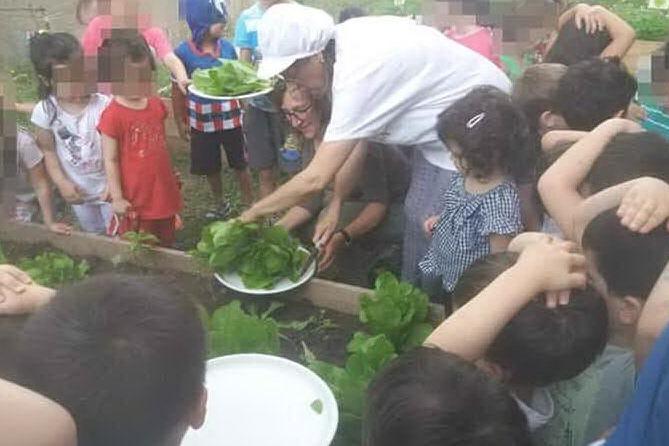 Serrenti: taglio delle verdure nell'orto scolastico della Materna