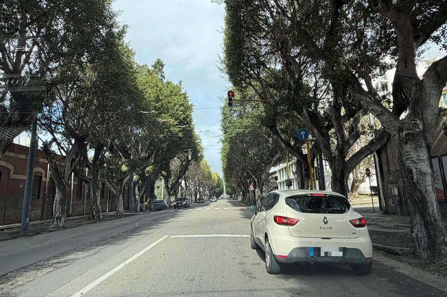 Viale Trieste, approvato il progetto del secondo lotto Marcialis: «Avvio del cantiere previsto entro l’anno»