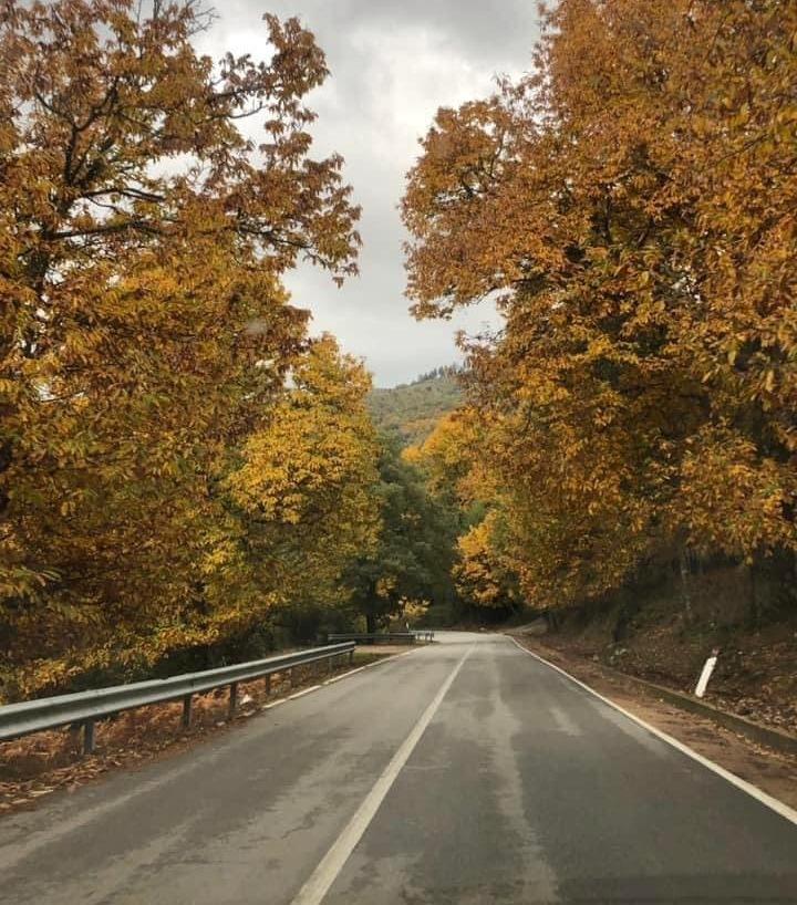 Amministratori disperati: «Troppi rischi»