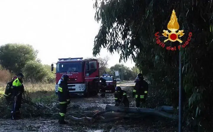Un intervento (foto Vigili del fuoco)