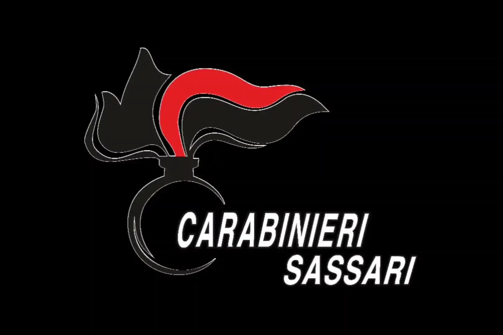 Maxi operazione antidroga a Olbia, le immagini