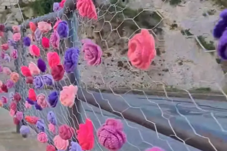 Le rose realizzate ad uncinetto (foto concessa)